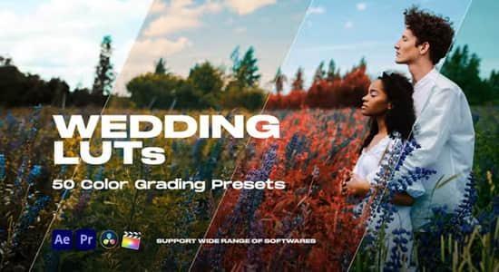 100种欧美婚礼调色LUTs预设 Colorify Wedding LUTs
