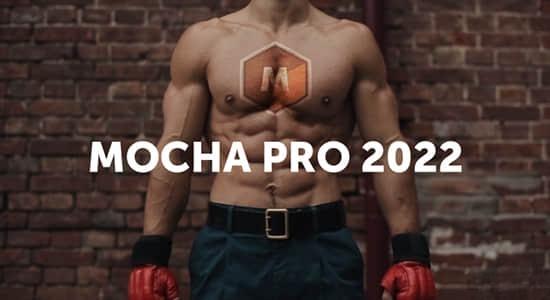 摄像机反求平面跟踪摩卡独立软件 Mocha Pro 2022 v9.0.3 Win