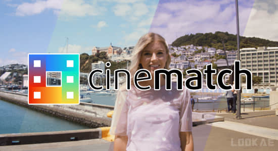 摄像机色彩空间匹配调色PR插件 CineMatch v1.21c CE Win 摄像机色彩空间匹配调色PR插件 CineMatch v1.21c CE Win