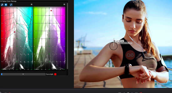 达芬奇/AE/PR/PS调色插件套装 False Color 3.80/Nobe Color Remap 1.83/Nobe Display 1.5.3 Win/Mac 达芬奇/AE/PR/PS调色插件套装 False Color 3.80/Nobe Color Remap 1.83/Nobe Display 1.5.3 Win/Mac