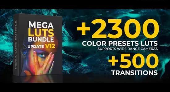 两千多个好莱坞电影大片复古婚礼人像旅行室内户外环境LUT调色预设 两千多个好莱坞电影大片复古婚礼人像旅行室内户外环境LUT调色预设