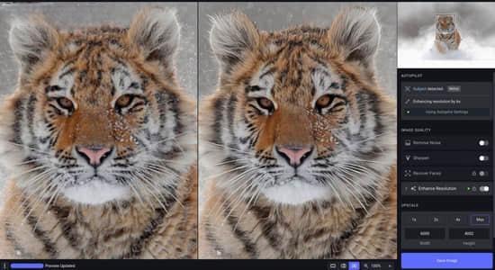 图片无损放大变清晰锐化软件 Topaz Photo AI v1.2.6 Win绿色免安装版 含离线模型库 图片无损放大变清晰锐化软件 Topaz Photo AI v1.2.6 Win绿色免安装版 含离线模型库