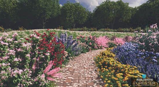 C4D插件-花草树木森林植物生成插件 3DQUAKERS – Forester v1.4.9 Win + Expansion Pack v1.1.9 预设包 C4D插件-花草树木森林植物生成工具 Forester v1.5.2 Win + Expansion Pack预设包