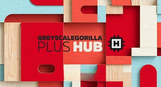 C4D 2023 GSG插件合集GreyscaleGorilla Plus Hub Plugins Win版 含Light Kit Pro/Signal/Light Types/GorillaCam/Cyc Types