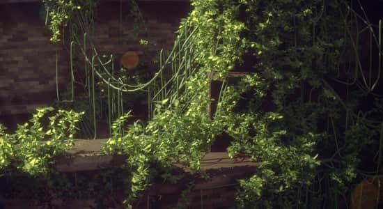 Blender插件-三维藤蔓植物模拟生成器 Vine Generator