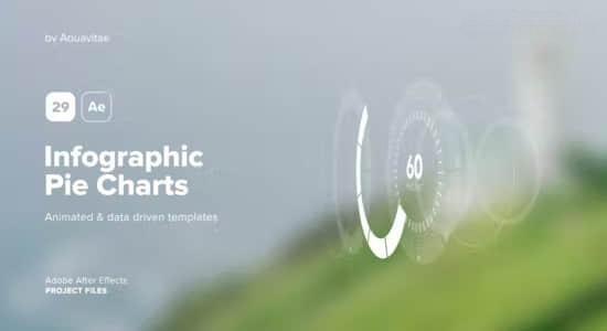 AE模板-29种信息数据饼图进度读取图表动画 Infographic Pie Charts