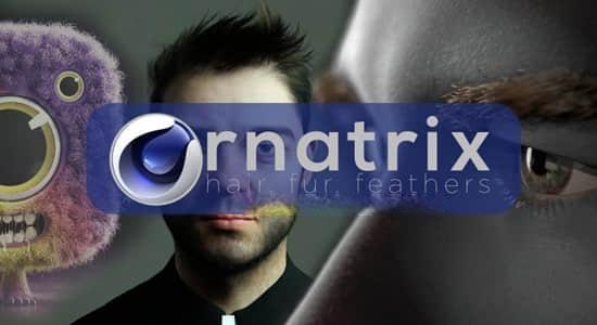 C4D插件-头发羽毛毛发模拟生成工具 Ephere Ornatrix v2.3.0.29616 Win C4D插件-头发羽毛毛发模拟生成工具 Ephere Ornatrix v2.3.0.29616 Win