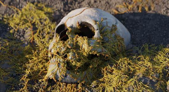 Blender预设-程序化真菌生长动画资产 Procedural Fungus Growth V1.0 Blender预设-程序化真菌生长动画资产 Procedural Fungus Growth V1.0