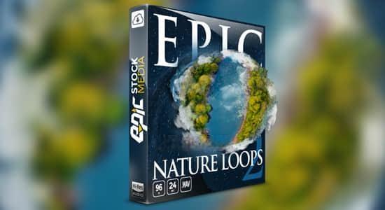 103组大自然森林户外虫鸣鸟叫环境渲染无损音效