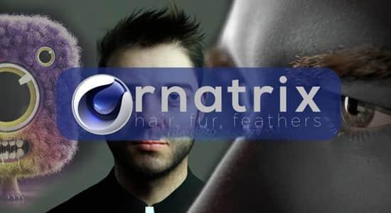 C4D插件-头发羽毛毛发模拟生成工具 Ephere Ornatrix v2.2.9.29361 Win C4D插件-头发羽毛毛发模拟生成工具 Ephere Ornatrix v2.2.9.29361 Win