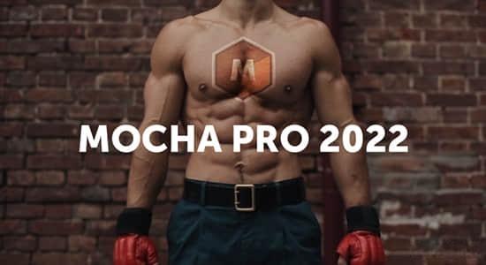 摄像机反求平面跟踪摩卡独立软件 Mocha Pro 2022.5 v9.5.0 Win