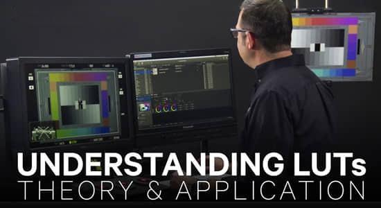 达芬奇教程-使用LUTs进行视频调色学习 Understanding LUTs Theory and Application