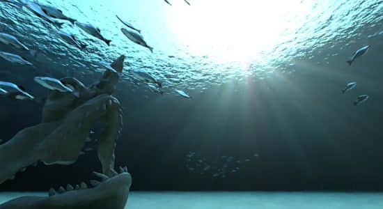 Blender插件-三维真实海底模拟工具 Procedural Water Material V2 Blender插件-三维真实海底模拟工具 Procedural Water Material V2