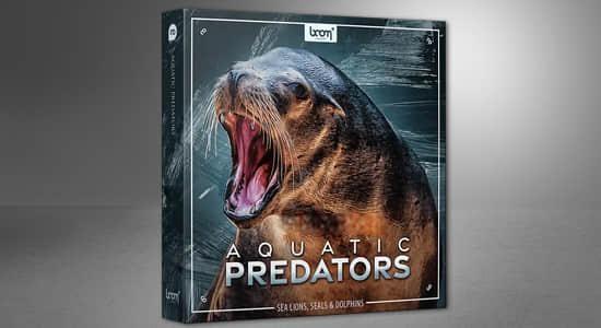 1085种海狮海豹海豚海象动物无损音效 Aquatic Predator 1085种海狮海豹海豚海象动物无损音效 Aquatic Predator