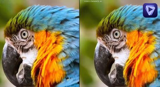 苹果版视频无损放大画质修复软件 Topaz Video AI v3.1.5 Mac