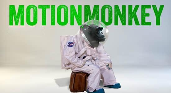 AE脚本-快速给图层添加MG动画 Motion Monkey V1.03+使用教程