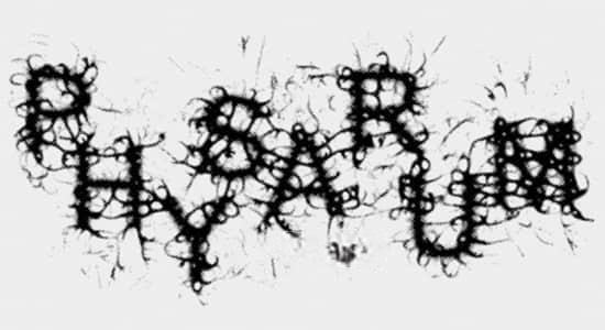 模拟有机生物绒泡菌霉变增长动画AE插件 Physarum v1.3 Win/Mac 模拟有机生物绒泡菌霉变增长动画AE插件 Physarum v1.3 Win/Mac