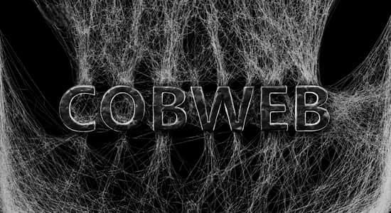 Blender蜘蛛网生成器 Cobweb (spidernet) v2.1