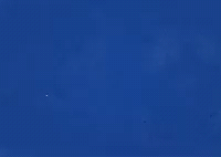 FCPX插件-606个手绘卡通流体MG图形音效LOGO文字标题转场背景动画 FCPX插件-606个手绘卡通流体MG图形音效LOGO文字标题转场背景动画