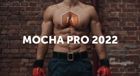 摄像机反求平面跟踪摩卡独立软件 Mocha Pro 2022 v9.0.1 Win