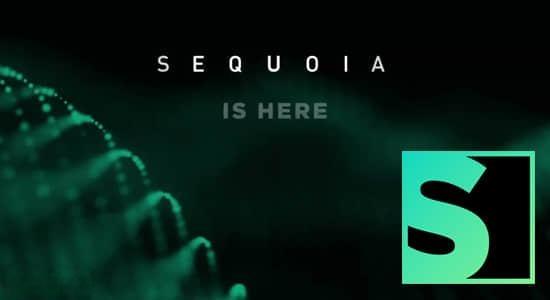 录音混音专业母带制作软件 Sequoia 2025.0.1 v17.4.2 Win 录音混音专业母带制作软件 Sequoia 2025.0.1 v17.4.2 Win
