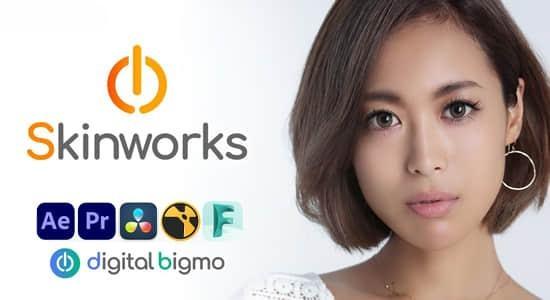 AE/PR/OFX/NUKE/达芬奇面部修饰人脸磨皮美颜插件 Digitalbigmo Skinworks 2024.11.00 Win AE/PR/OFX/NUKE/达芬奇面部修饰人脸磨皮美颜插件 Digitalbigmo Skinworks 2024.11.00 Win