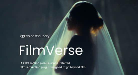 达芬奇插件-模拟复古电影胶片调色节点预设 Colorist Foundry FilmVerse Full Plugin