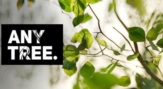 Blender插件-自定义植物形状外观 Anytree v2.1.2 – Trees With Any Shape Blender插件-自定义植物形状外观 Anytree v2.1.2 – Trees With Any Shape