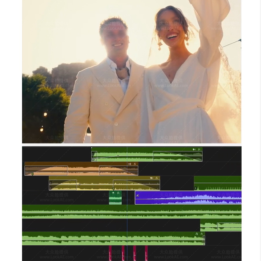 音效-120个婚礼现场环境氛围干杯欢呼烟花车队无损音效 音效-120个婚礼现场环境氛围干杯欢呼烟花车队无损音效