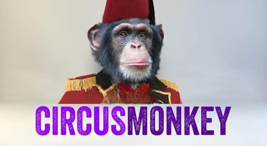 AE脚本-个性动态文字排版3D翻转动画 CircusMonkey V1.12 AE脚本-个性动态文字排版3D翻转动画 CircusMonkey V1.12
