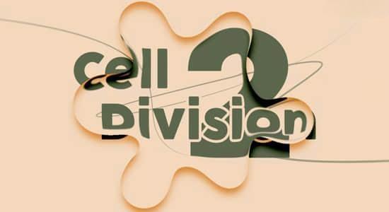 AE脚本-液体气泡融合分裂视觉效果 Cell Division 2 v1.0.0 + 使用教程 AE脚本-液体气泡融合分裂视觉效果 Cell Division 2 v1.0.0 + 使用教程