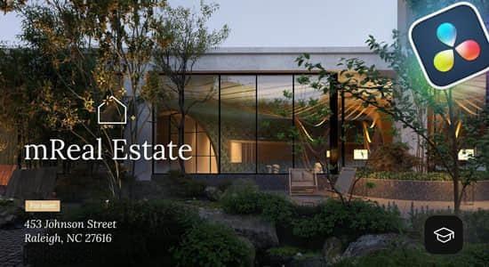 达芬奇插件-116个房地产企业宣传展示包装元素动画预设 mReal Estate