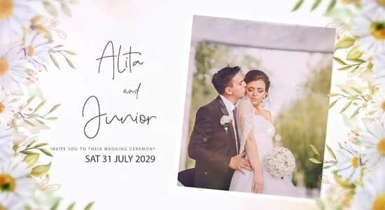 AE模板-浪漫唯美婚礼婚纱照片电子相册片头 AE模板-浪漫唯美婚礼婚纱照片电子相册片头