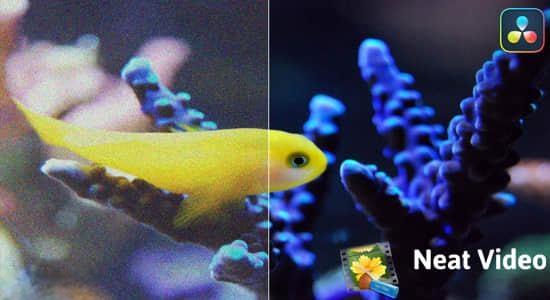 DaVinci Resolve插件-专业视频画面降噪达芬奇插件 Neat Video Pro 5.6.5 Win CE