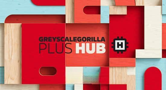 C4D 2024 GSG插件合集GreyscaleGorilla Plus Hub Plugins Win版 含Light Kit Pro/Signal/Light Types/GorillaCam/Cyc Types