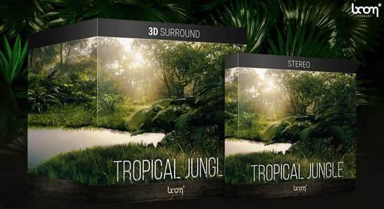 沉浸式森林丛林雨林户外环境氛围无损音效-立体声套装