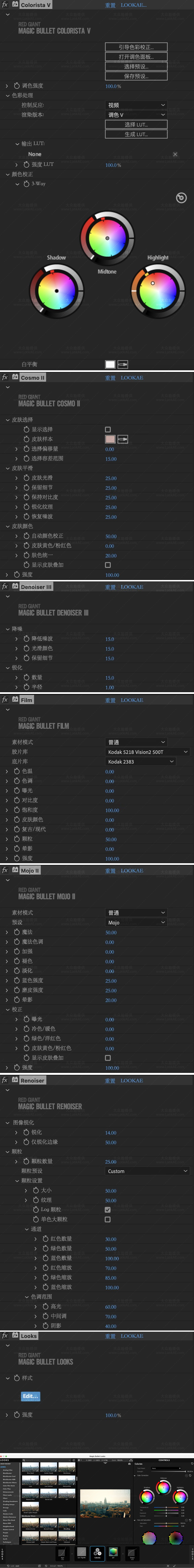 Mac苹果中文汉化-红巨人降噪磨皮美颜调色套装AE/PR插件 MBS 2023.2.1