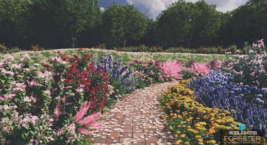 花草树木森林植物生成器C4D插件 Forester v1.5.5 Win+Expansion Pack V1+2预设包