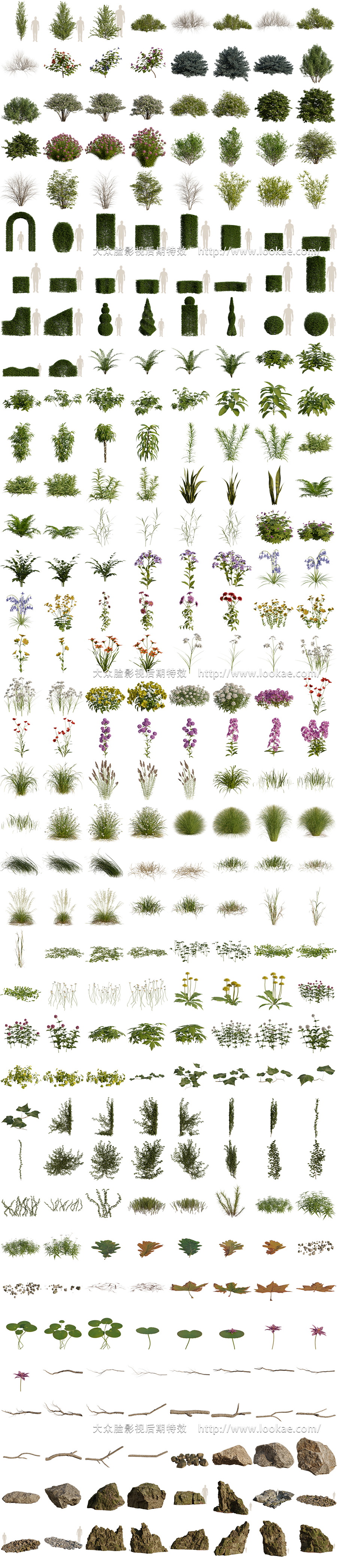 Blender插件-植物花草树木自然环境资产预设库 Arborea v1.03 Pro 含使用教程