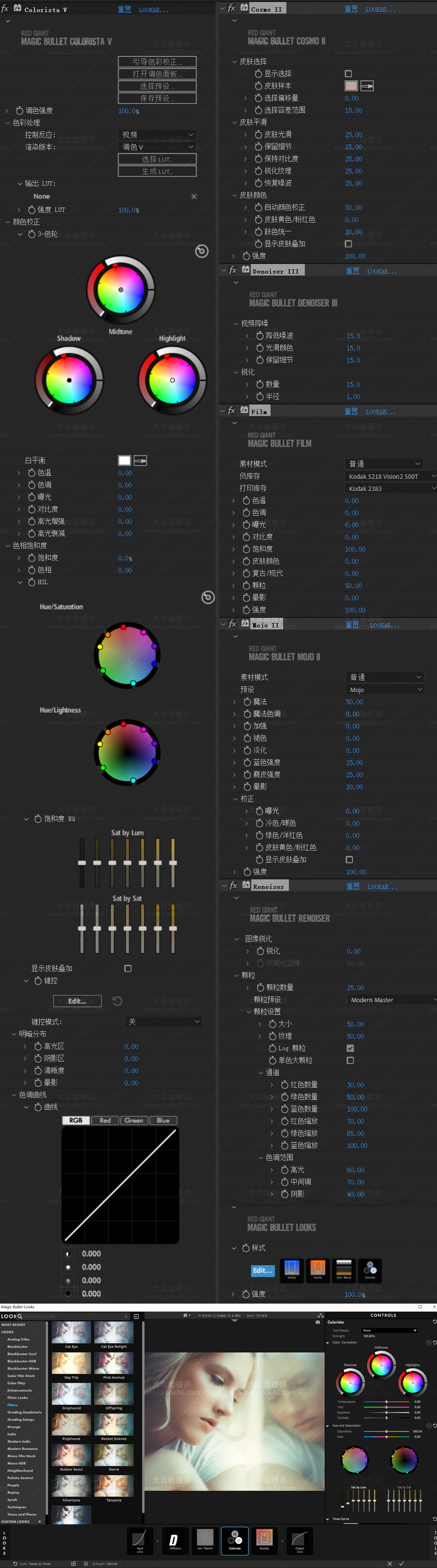Win中文汉化-红巨人降噪磨皮美颜调色套装AE/PR插件 MBS 2024.1.0