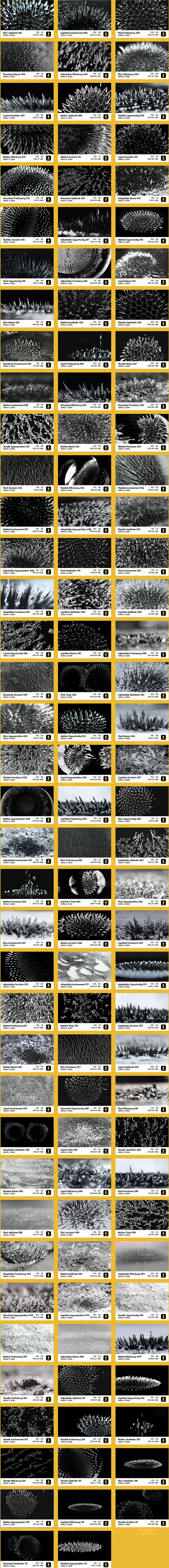 4K视频素材-113个黑白素雅磁吸流体微观特写动画 BBV42 4K视频素材-113个黑白素雅磁吸流体微观特写动画 BBV42