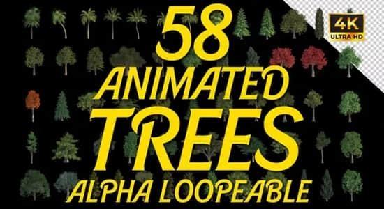 AE模板-58个植物树木循环动画视频素材 Animated Trees Alpha Loop Pack 4K