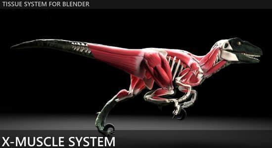 Blender插件-肌肉系统模拟工具 X-Muscle System 4.0 Blender插件-肌肉系统模拟工具 X-Muscle System 4.0