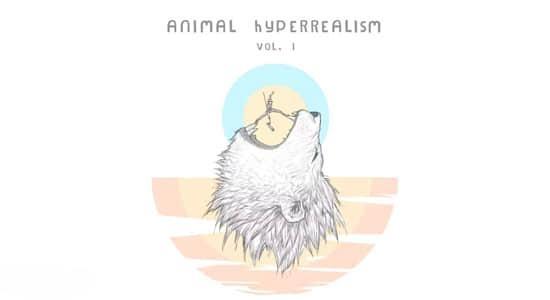 第一套-1300个大自然真实动物实录无损音效 Animal Hyperrealism Vol.I