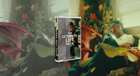 287个终极专业电影级LUTs视频调色预设 The Ultimate Lut Pack 287个终极专业电影级LUTs视频调色预设 The Ultimate Lut Pack