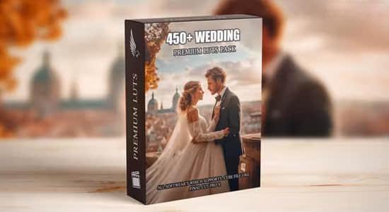 450个专业高级浪漫爱情婚礼视频LUT调色预设 Premium Wedding LUTs Mega Bundle