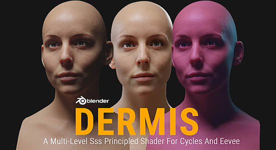Blender插件-真实皮肤着色器预设 Dermis Shader V1.1 Blender插件-真实皮肤着色器预设 Dermis Shader V1.1
