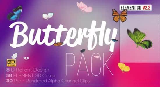 AE模板-使用E3D制作三维逼真蝴蝶拍打翅膀飞舞动画 Butterfly Pack - Element 3D